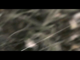 Снайперы: Любовь под прицелом - 5 серия (2012) (русские боевики и фильмы)